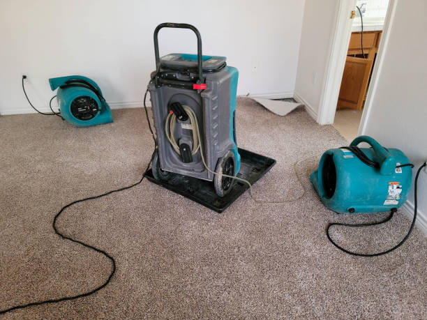 Best Flood restoration services  in Luling, LA