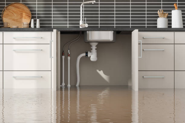Best Flood damage cleanup  in Luling, LA