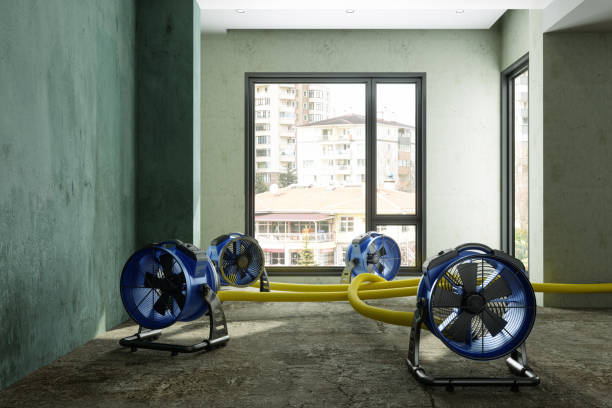 Best Water damage restoration near me  in Luling, LA