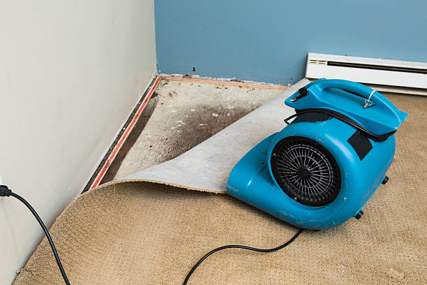 Water damage restoration experts in LA